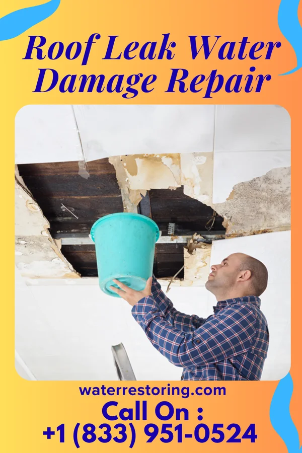 Roof Leak Water Damage Repair in Cleveland, TX